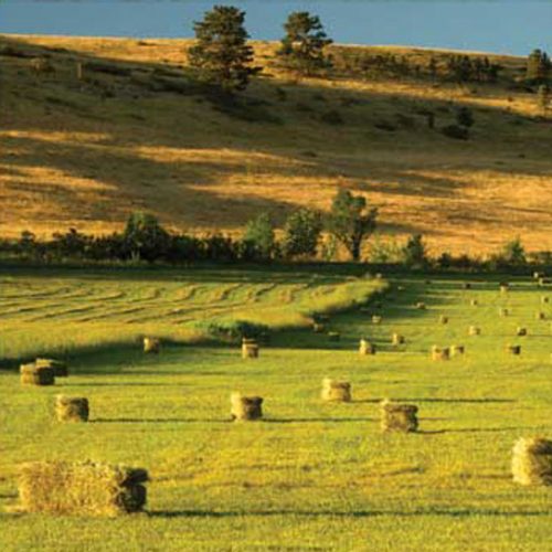 Making Hay on a Small Scale